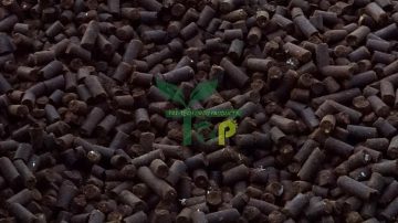 Neem Seeds Pellets