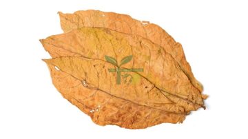 Red Chopadia Tobacco